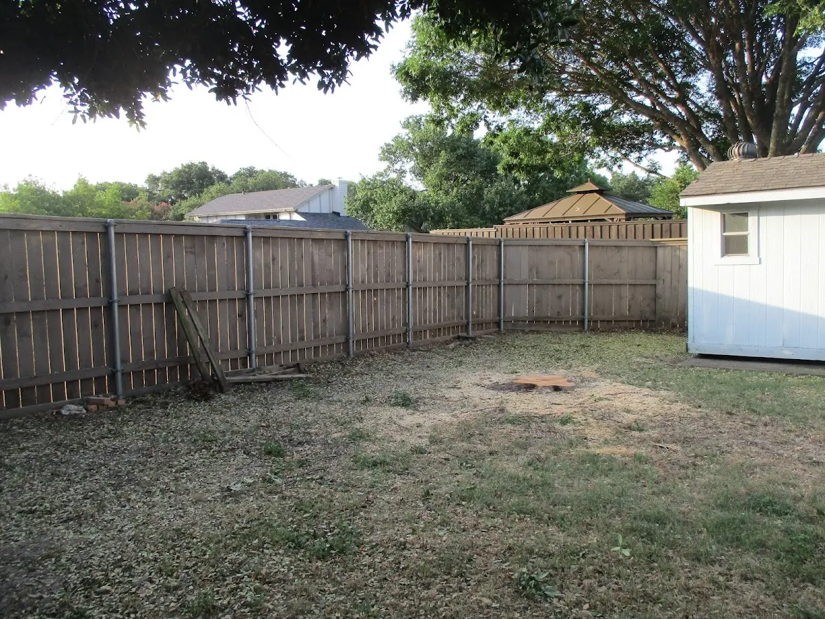 Cleared yard after professional tree removal in Three Lakes