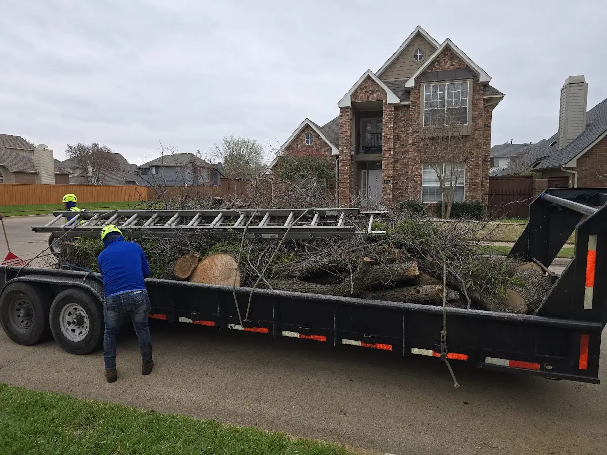 Expert Tree Removal with proper safety equipment in Three Lakes